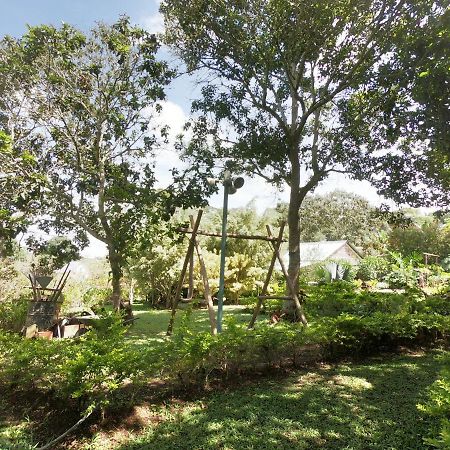 Tribu Ecohostal لوس سانتوس المظهر الخارجي الصورة