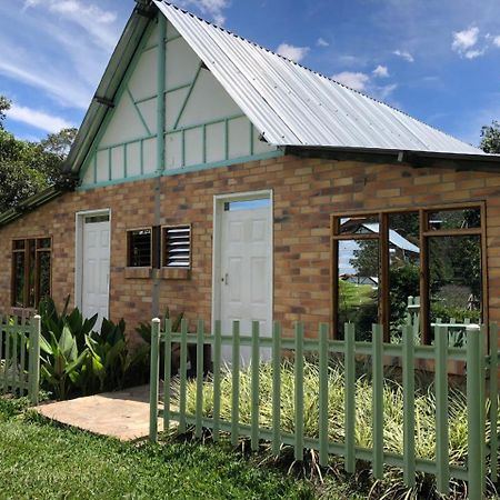 Tribu Ecohostal لوس سانتوس المظهر الخارجي الصورة