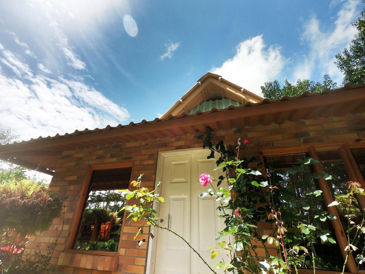 Tribu Ecohostal لوس سانتوس المظهر الخارجي الصورة