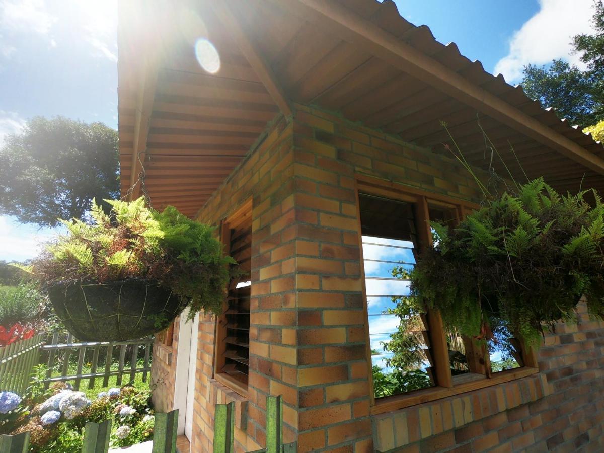 Tribu Ecohostal لوس سانتوس المظهر الخارجي الصورة