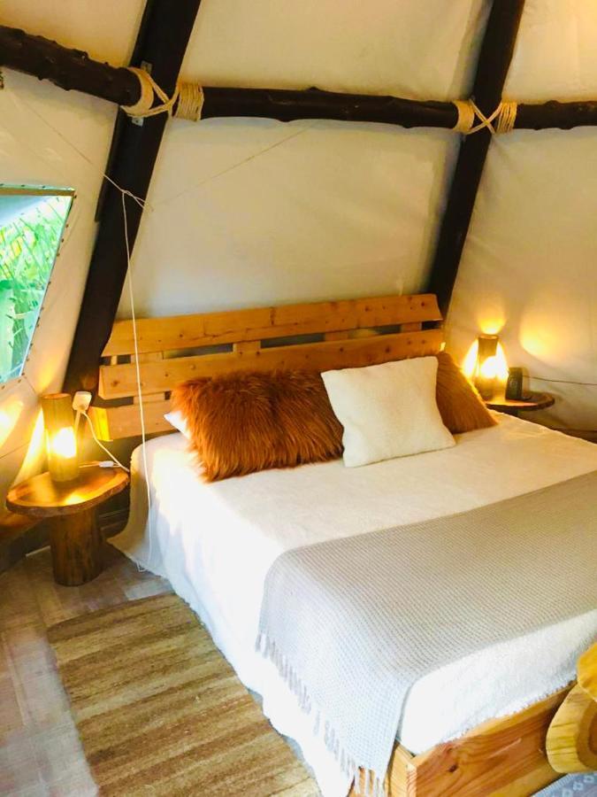 Tribu Ecohostal لوس سانتوس المظهر الخارجي الصورة
