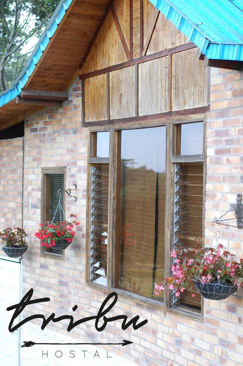 Tribu Ecohostal لوس سانتوس المظهر الخارجي الصورة