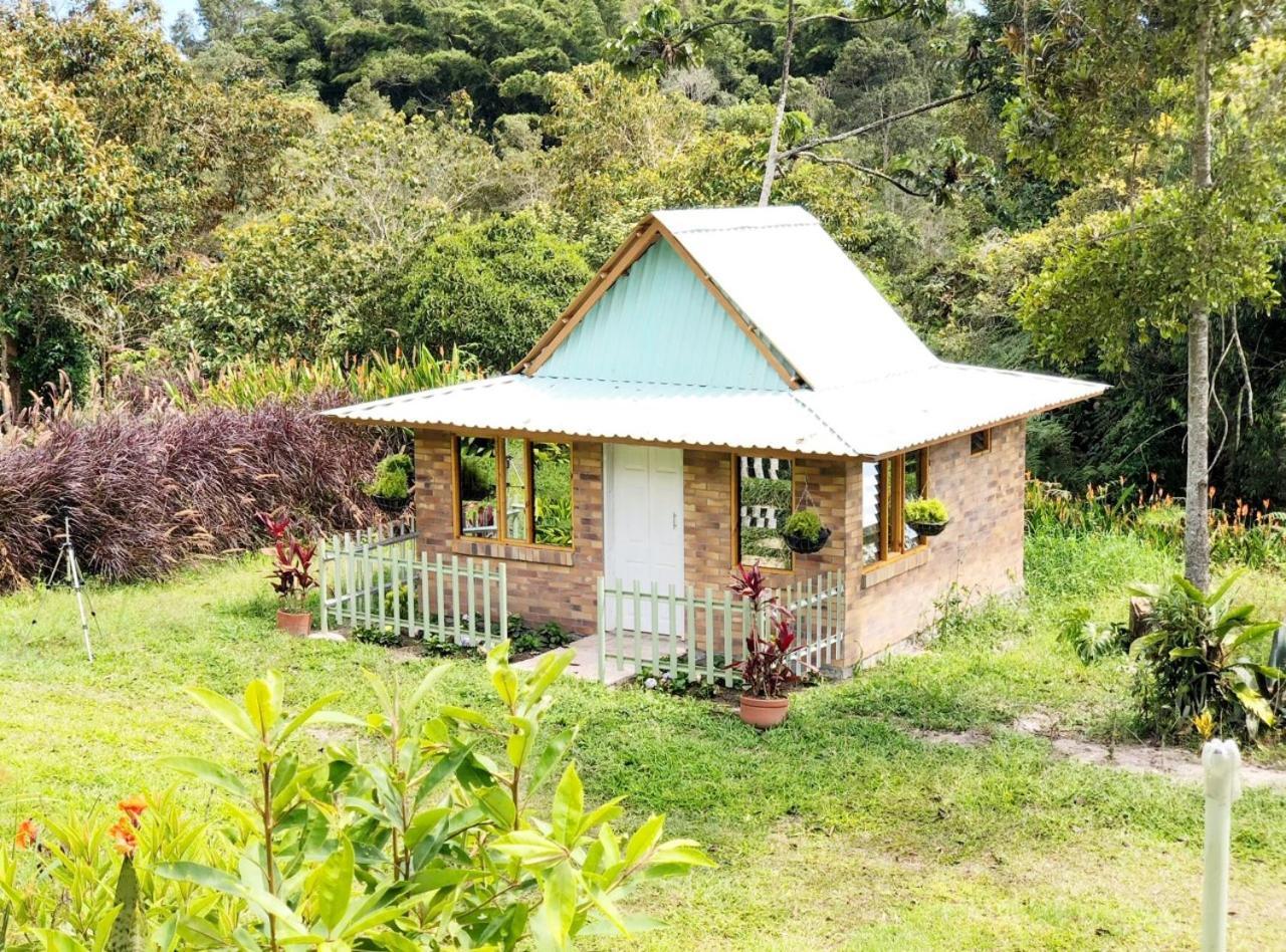 Tribu Ecohostal لوس سانتوس المظهر الخارجي الصورة