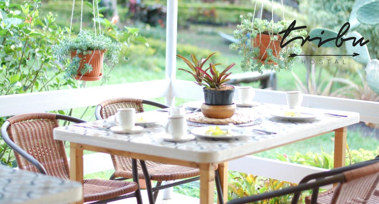 Tribu Ecohostal لوس سانتوس المظهر الخارجي الصورة