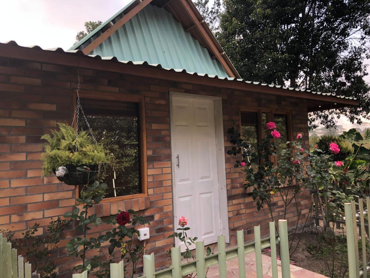 Tribu Ecohostal لوس سانتوس المظهر الخارجي الصورة